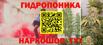 шишки Беслан