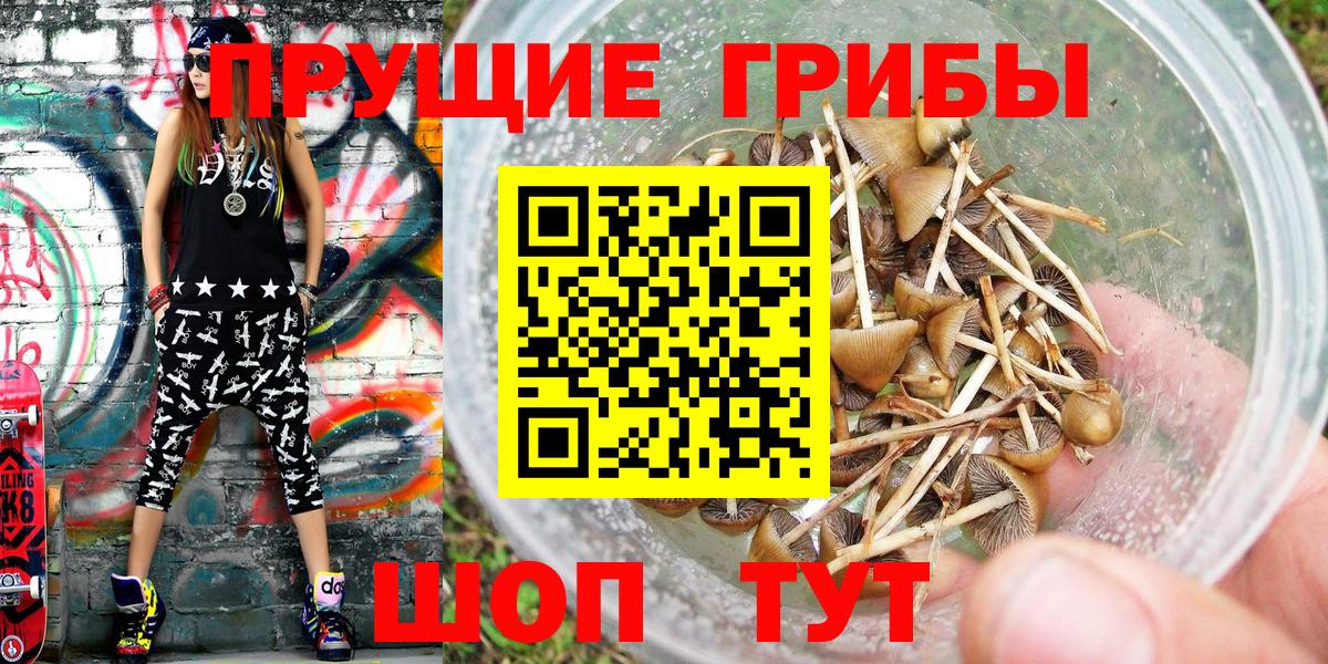 Псилоцибиновые грибы Magic Shrooms Калач-на-Дону