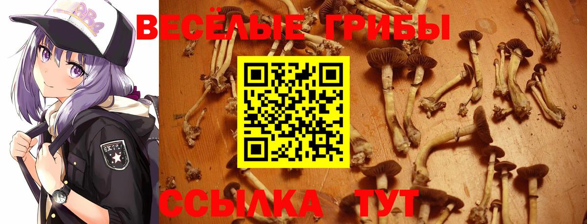 Калач-на-Дону  Псилоцибиновые грибы MAGIC MUSHROOMS  Вход с VPN 
